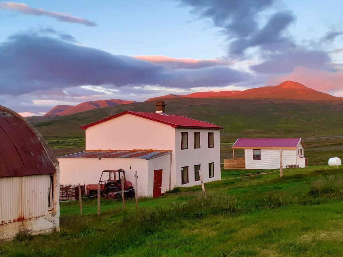 Skarth Guesthouse Saudarkrokur Eksteriør billede