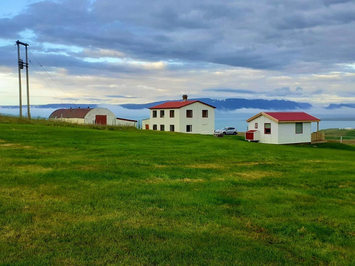 Skarth Guesthouse Saudarkrokur Eksteriør billede