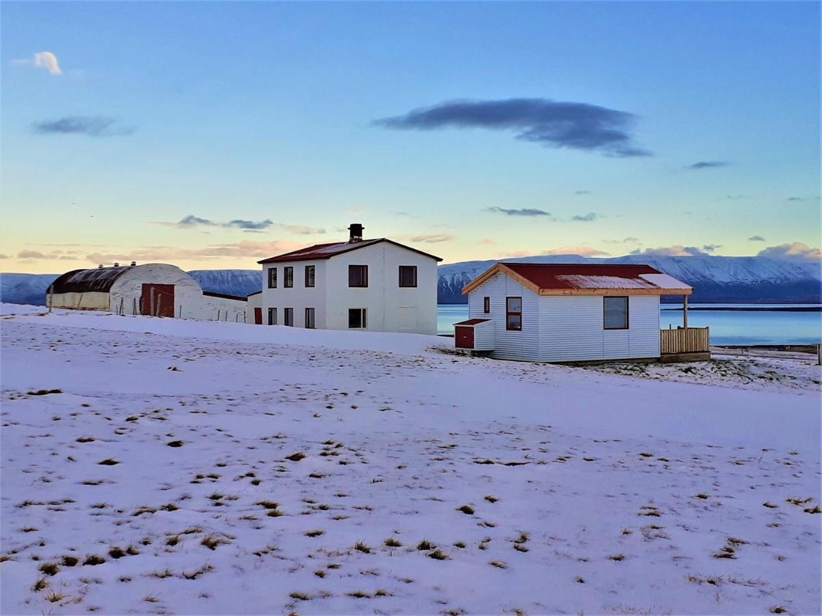 Skarth Guesthouse Saudarkrokur Eksteriør billede