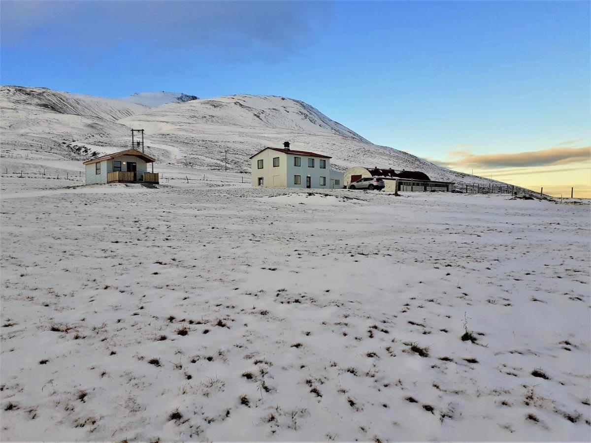 Skarth Guesthouse Saudarkrokur Eksteriør billede