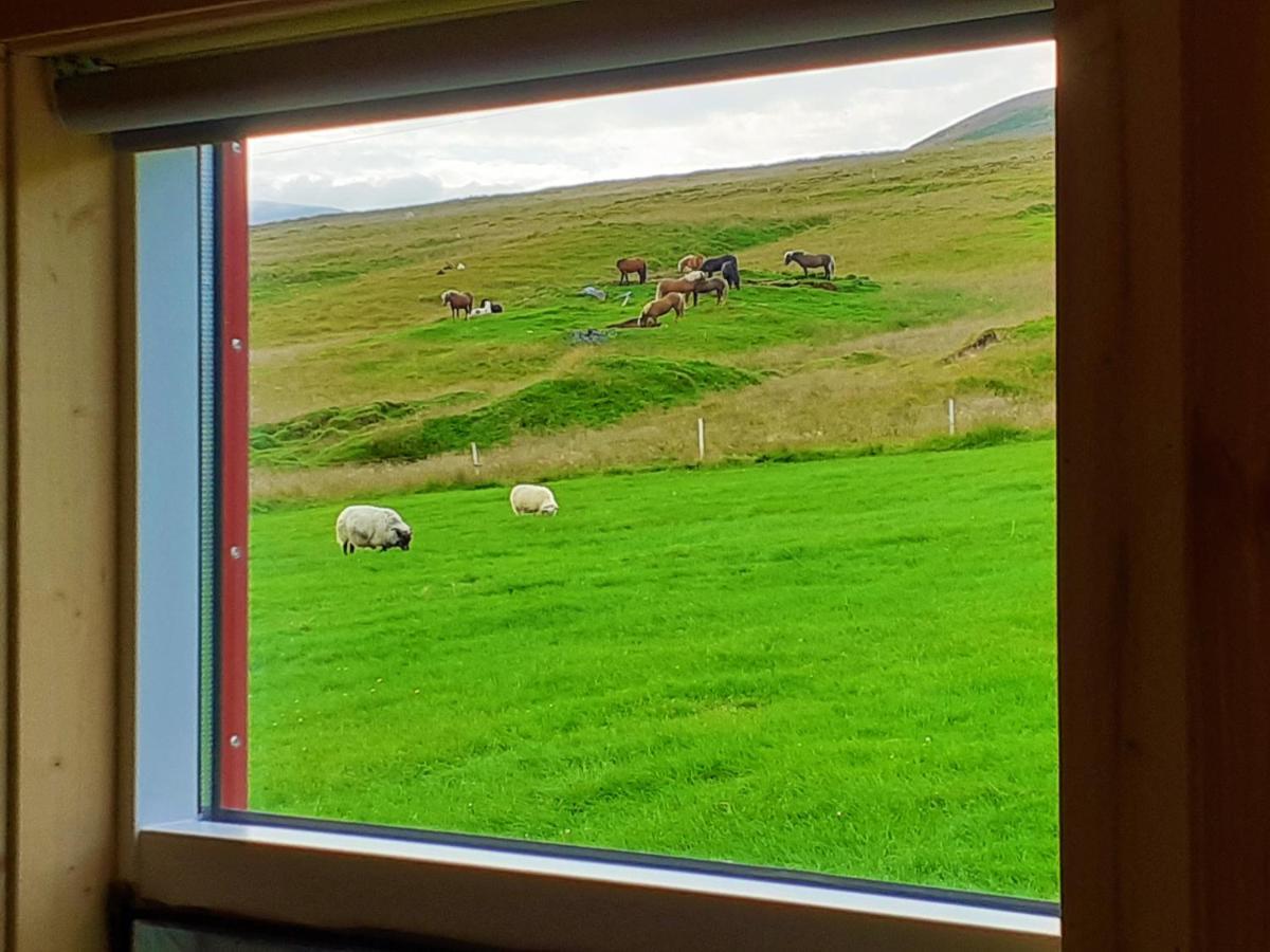 Skarth Guesthouse Saudarkrokur Eksteriør billede